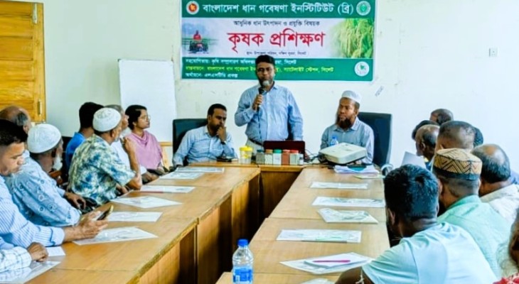 ব্রি’র আধুনিক ধান উৎপাদন ও প্রযুক্তি বিষয়ক কৃষক প্রশিক্ষণ